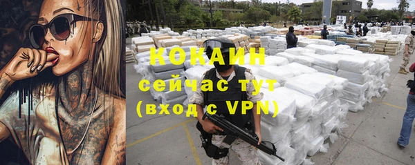 стафф Бородино
