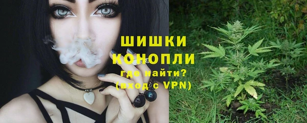 стафф Бородино