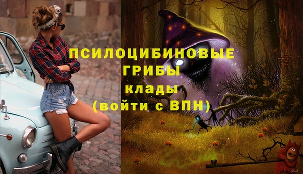эйфоретик Бугульма